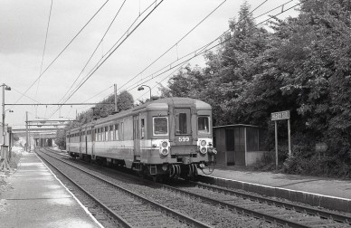 599 - Haren-Sud - MZ19247.jpg
